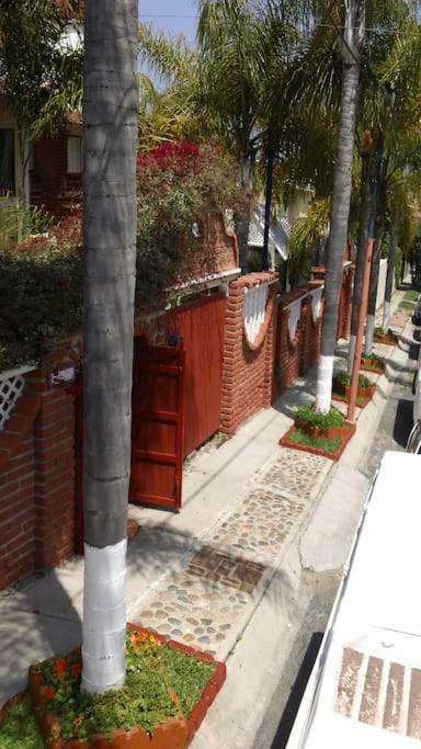 Amazingly Romantic Vacation For Your Honeymoon Tijuana Ngoại thất bức ảnh