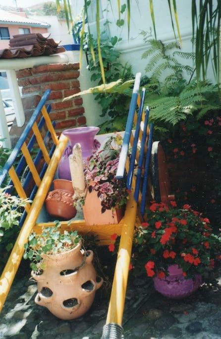 Amazingly Romantic Vacation For Your Honeymoon Tijuana Ngoại thất bức ảnh